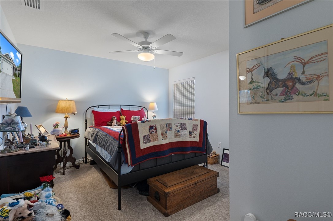 10541 S Drew Bryant Circle, Floral City, New York image 19