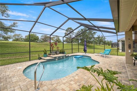 1590 W Caroline Path Lecanto FL 34461