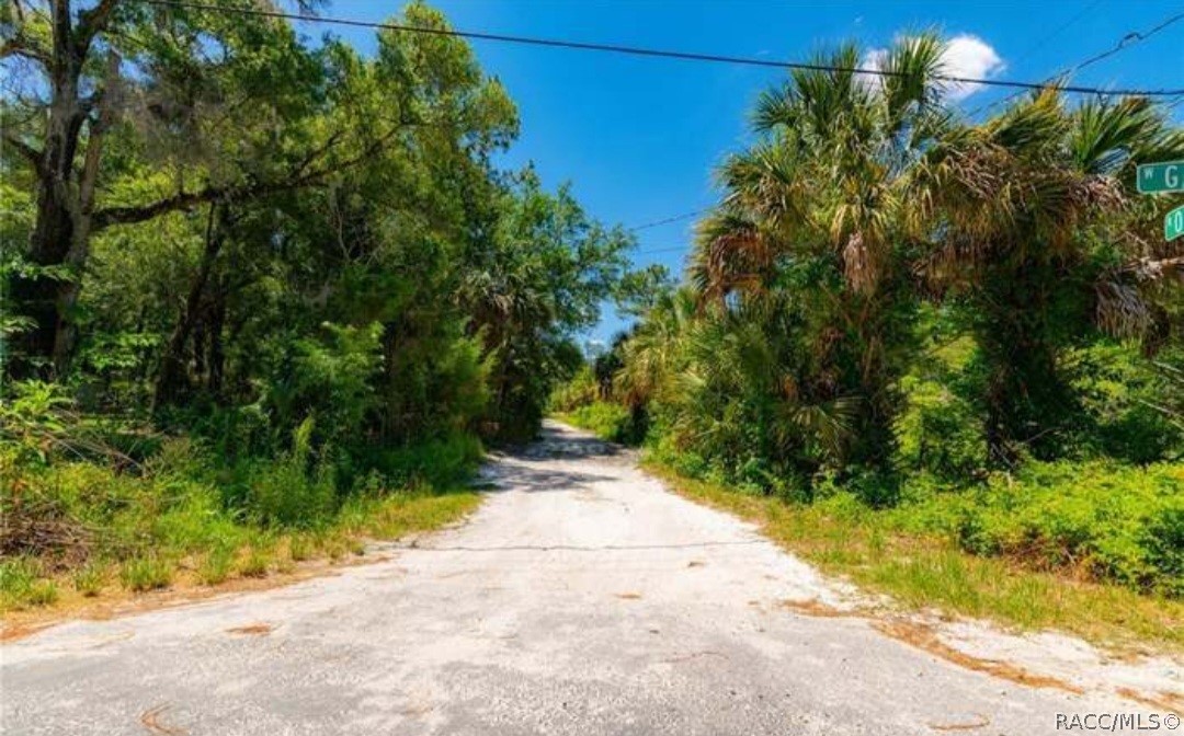 2949 N Oakland Terrace, Crystal River, Florida image 3