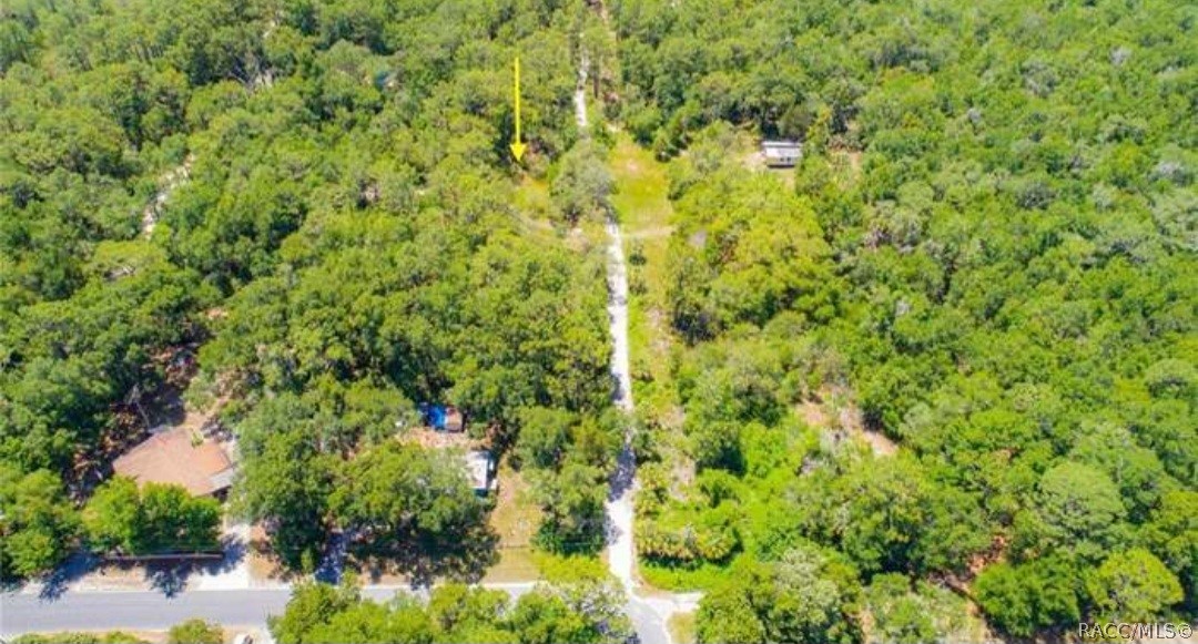 2949 N Oakland Terrace, Crystal River, Florida image 4