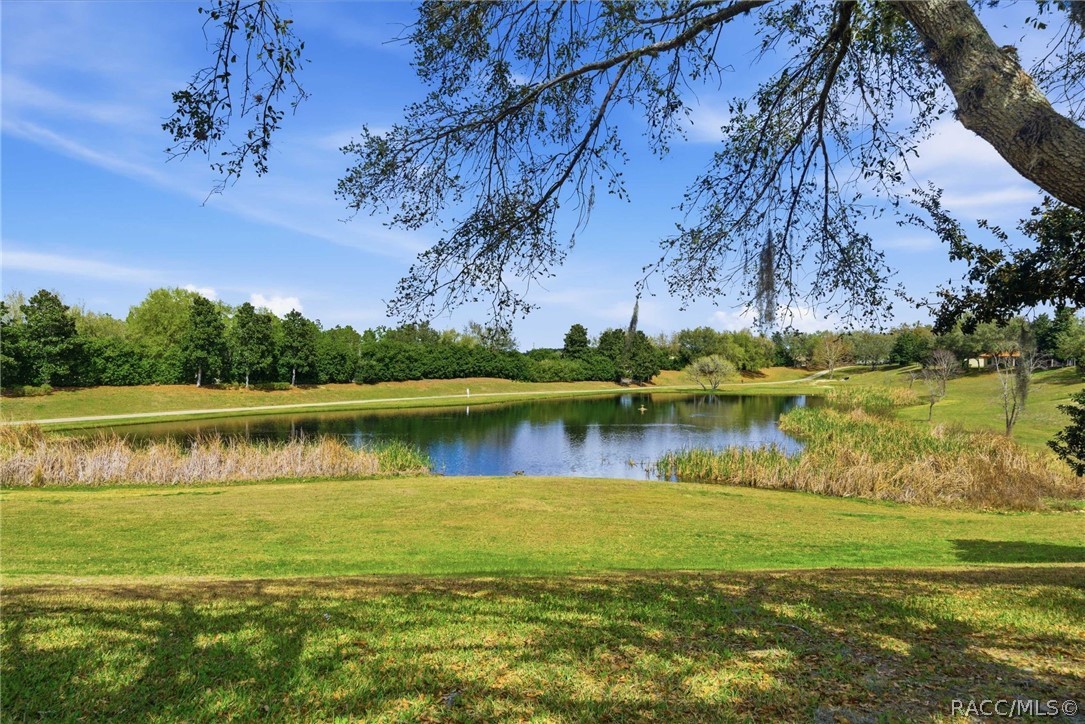 1251 W Skyview Crossing Drive