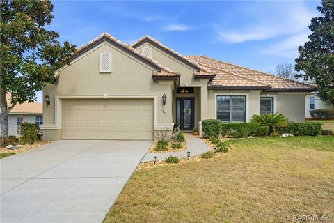1251 W Skyview Crossing Drive Hernando FL 34442