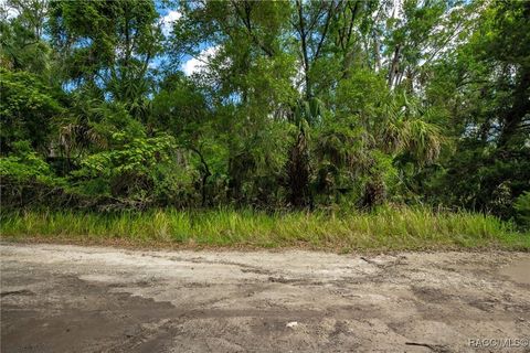 15085 W Roosters Crow Road Inglis FL 34449
