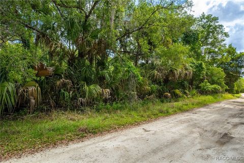 15085 W Roosters Crow Road Inglis FL 34449