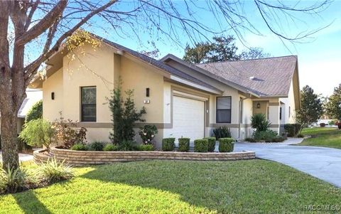 58 Byrsonima Circle Homosassa FL 34446