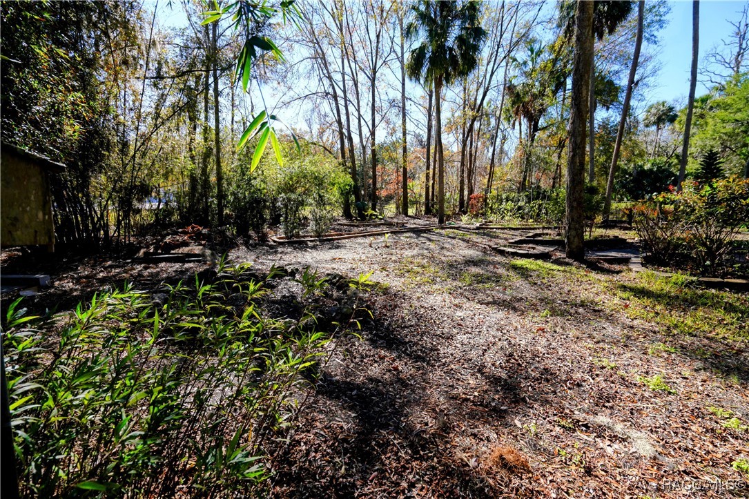 5301 S Coral Bells Avenue, Homosassa, Florida image 36