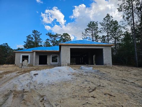 A home in Citrus Springs