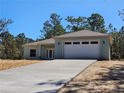 8711 N Citrus Springs Boulevard Citrus Springs FL 34433