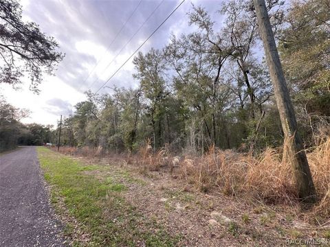 Vacant Land For Sale - 3505 E Lou Lane<br/> Inverness, FL 34453