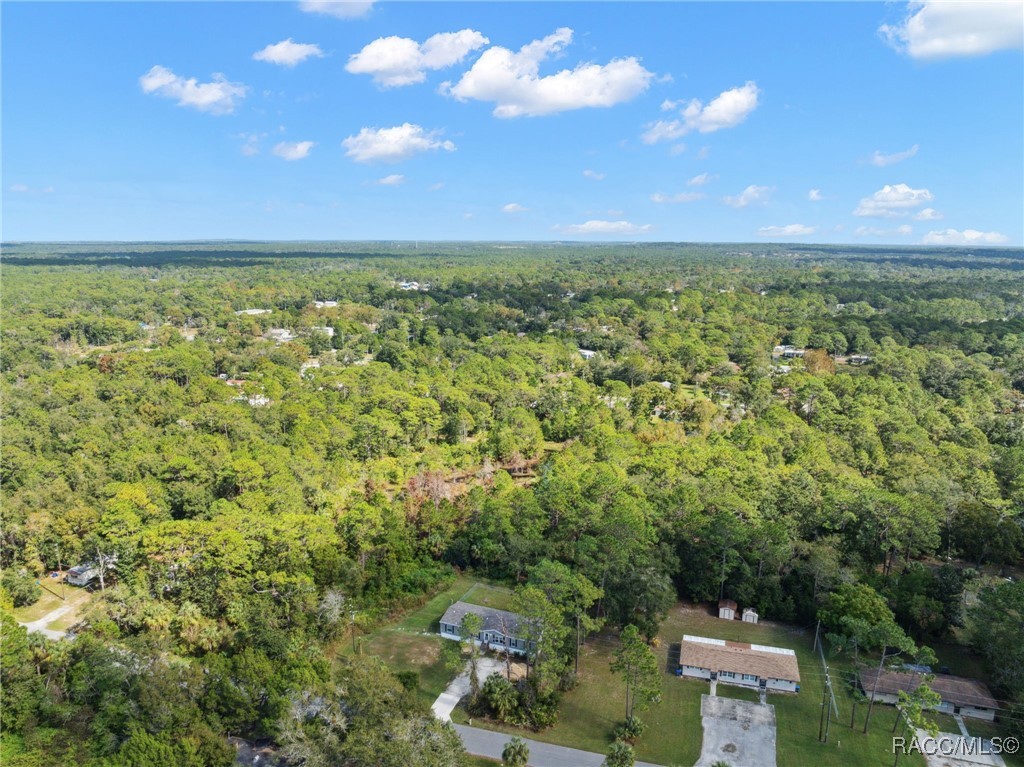 3231 S Alabama Avenue, Homosassa, New York image 43