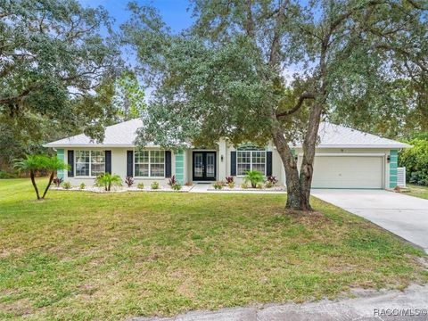 13 Witch Hazel Court Homosassa FL 34446