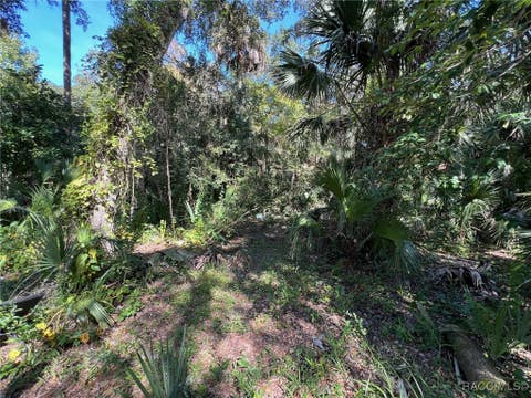 Homes For Sale - 6915 E Totem Court<br/> Hernando, FL 34442
