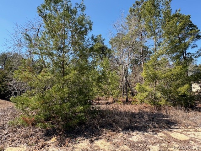 23 Tall Marigolds Court