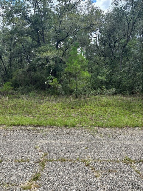 Vacant Land For Sale - 875 E Elston Place<br/> Citrus Springs, FL 34434