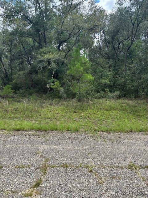 Vacant Land For Sale - 875 E Elston Place<br/> Citrus Springs, FL 34434