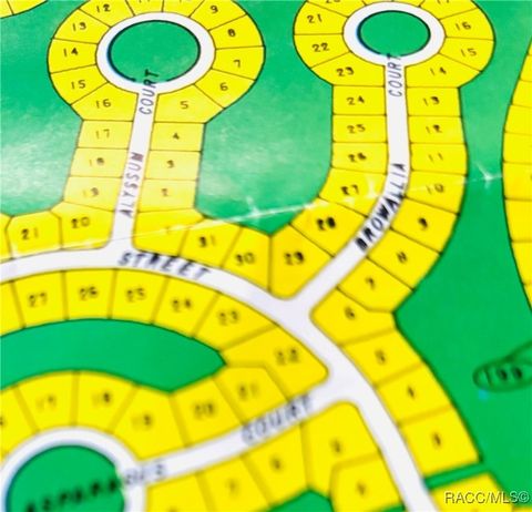 Vacant Land For Sale - 18 Saintpaulia Street<br/> Homosassa, FL 34446