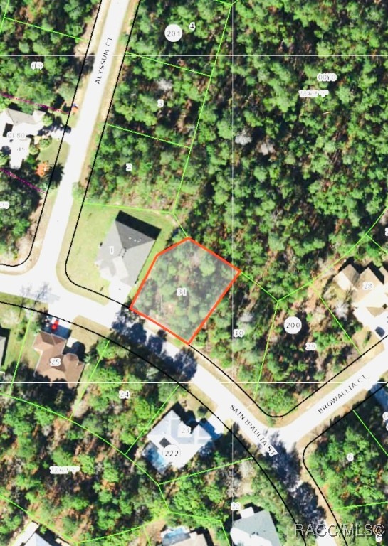 18 Saintpaulia Street, Homosassa, New York image 2