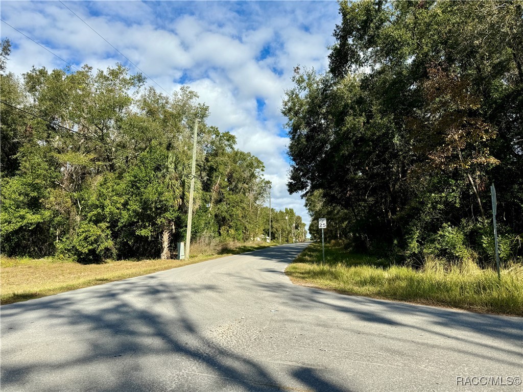 719 S Arlene Avenue, Inverness, Florida image 4