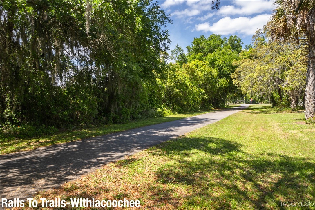 719 S Arlene Avenue, Inverness, Florida image 10