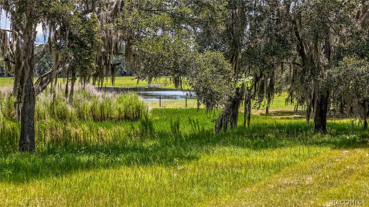 6764 N Paraqua Circle, Crystal River, Florida image 8