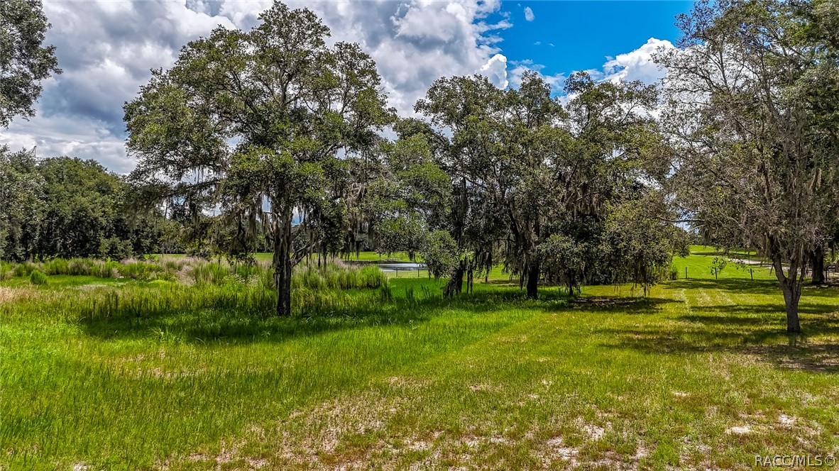 6764 N Paraqua Circle, Crystal River, Florida image 4