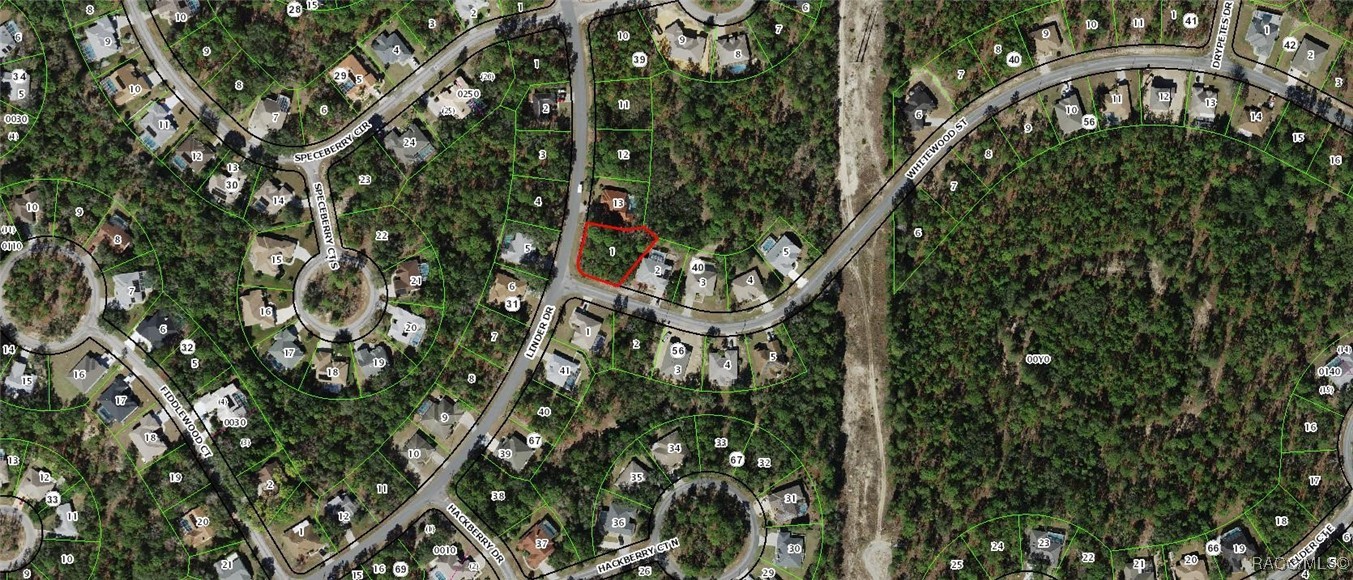 2 Whitewood Street, Homosassa, Florida image 2
