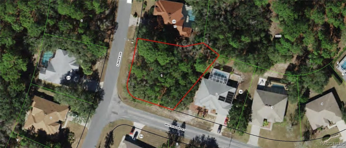 2 Whitewood Street, Homosassa, Florida image 1