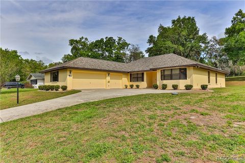8087 E Decatur Court Floral City FL 34436