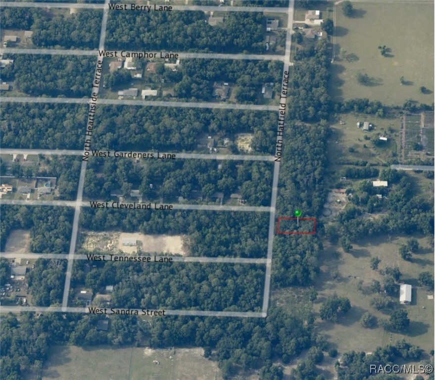 8379 N Hatfield Terrace, Crystal River, Florida image 2