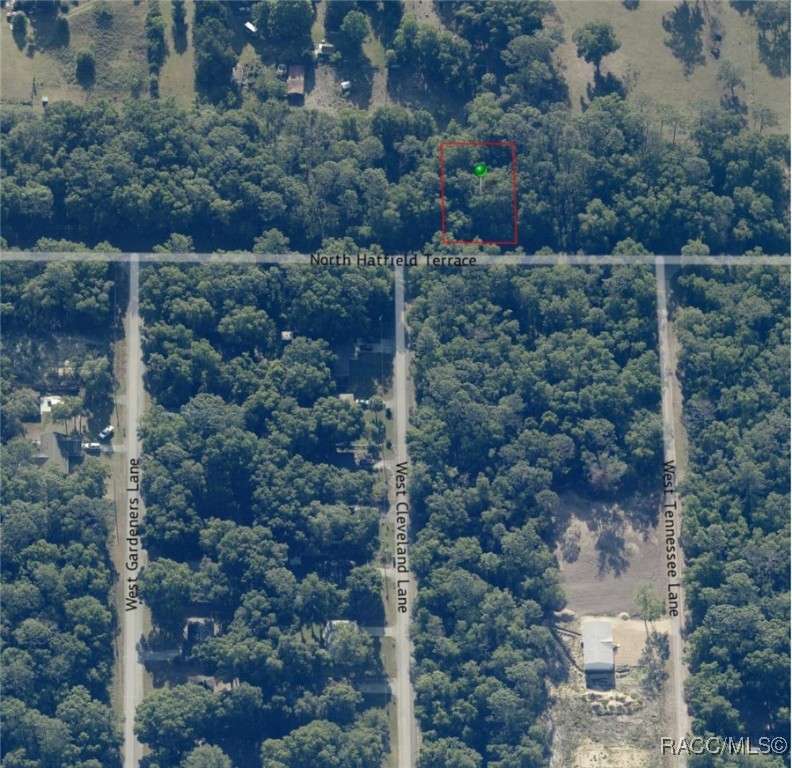 8379 N Hatfield Terrace, Crystal River, Florida image 1