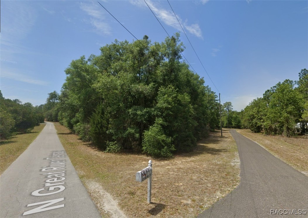 6160 W Pell Place, Dunnellon, New York image 2