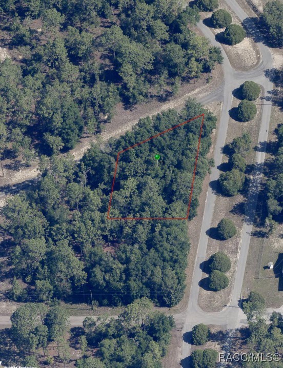 6160 W Pell Place, Dunnellon, New York image 3