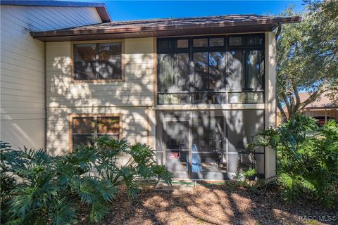 A home in Hernando