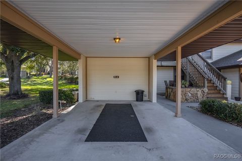 A home in Hernando