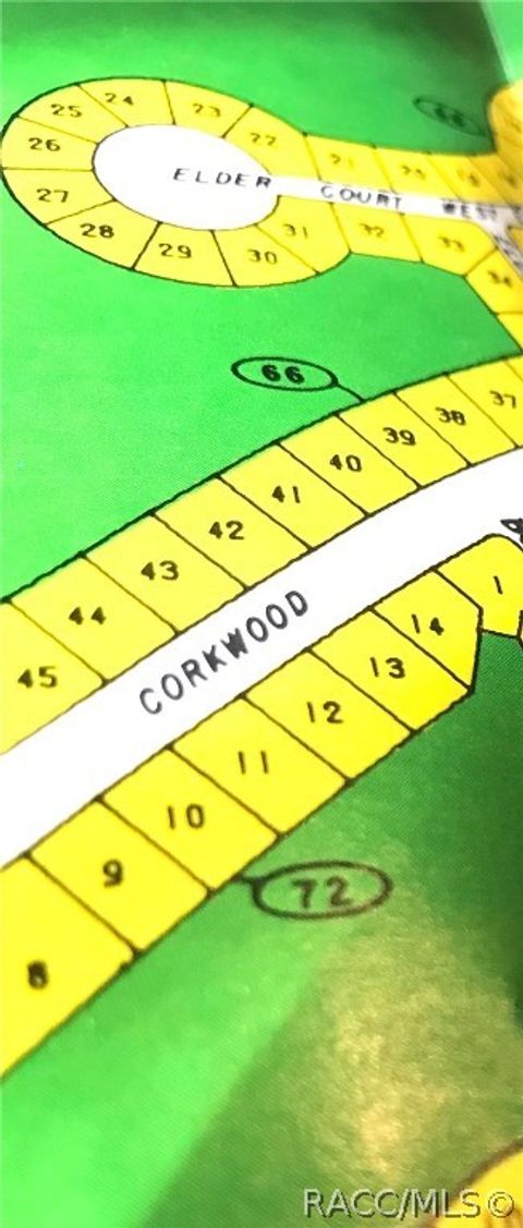 Homes For Sale - 21 Corkwood Boulevard<br/> Homosassa, FL 34446