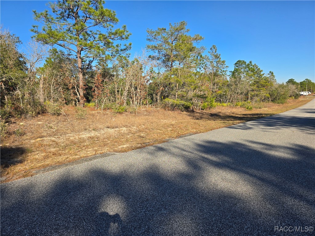 3489 W Eunice Drive, Dunnellon, Florida image 3