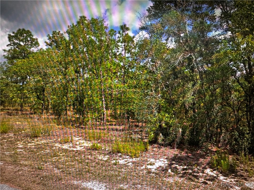 2363 E Cambridge Lane, Inverness, New York image 2