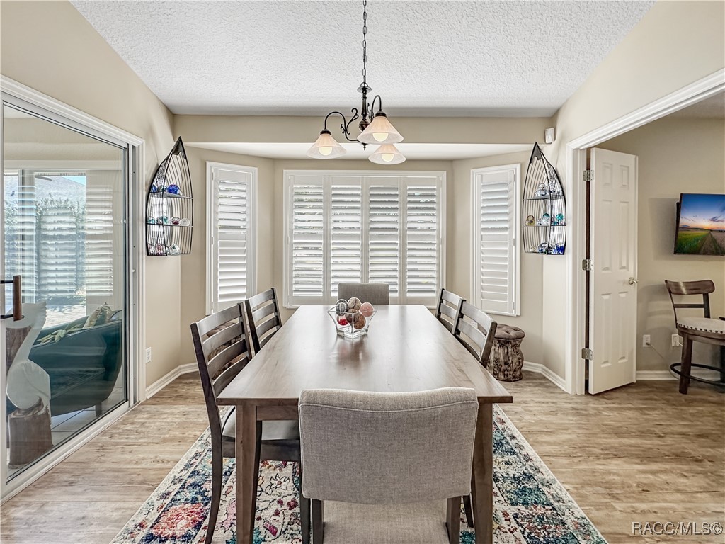 3874 E Arbor Lakes Drive, Hernando, Florida image 13