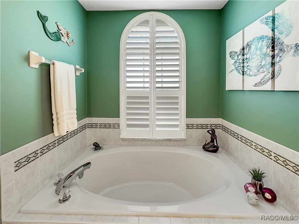 3874 E Arbor Lakes Drive, Hernando, Florida image 27