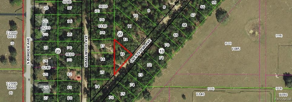 Photo 1 of 2 — 318 S CRESTVIEW Avenue, Inverness, FL 34452
