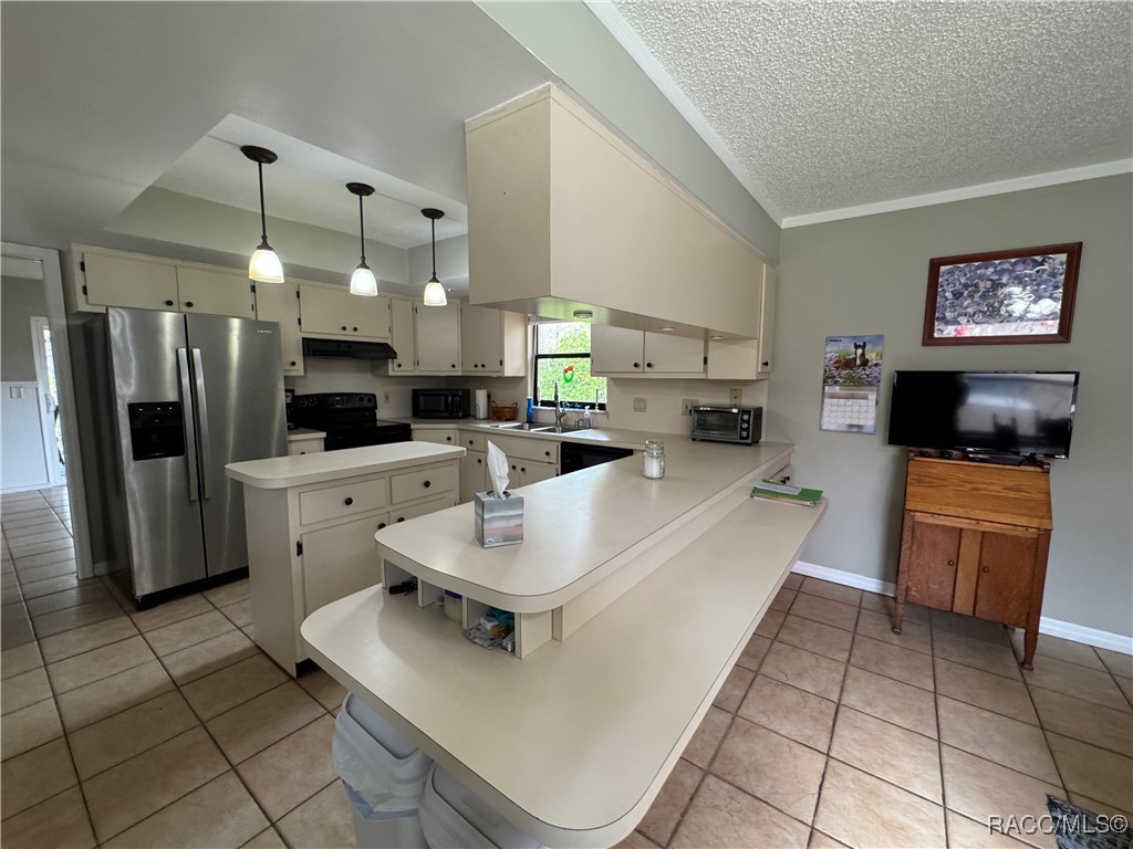 9341 W Turnberry Loop, Crystal River, Florida image 2