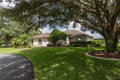 61 E Falconry Court Hernando FL 34442