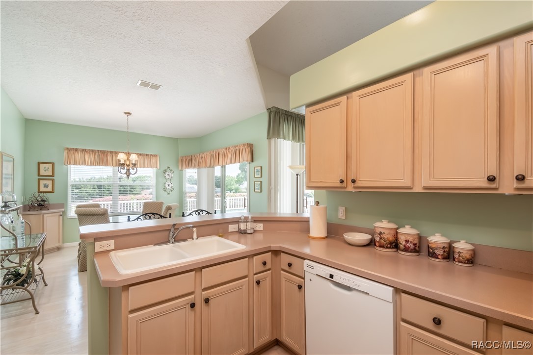 61 E Falconry Court, Hernando, New York image 16