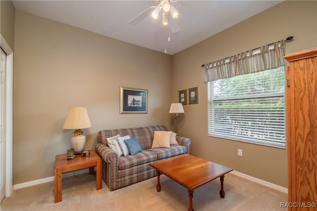 61 E Falconry Court, Hernando, New York image 33