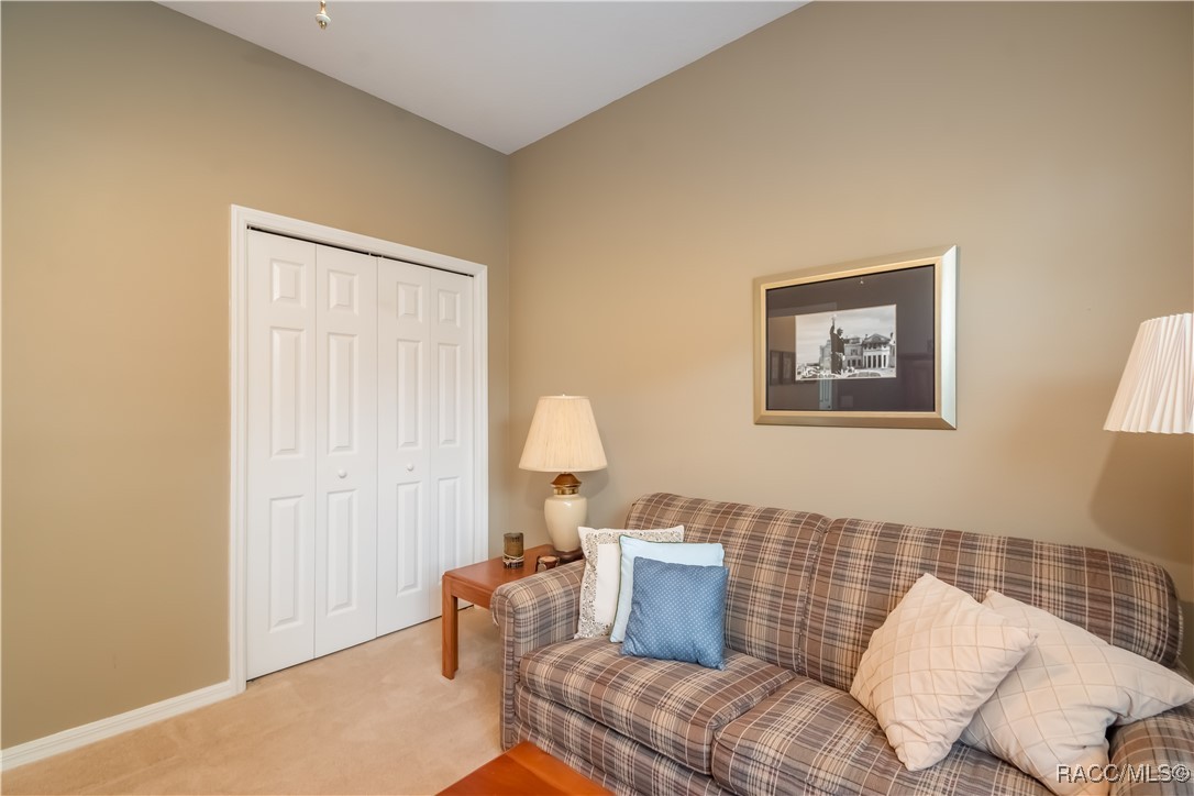 61 E Falconry Court, Hernando, New York image 34