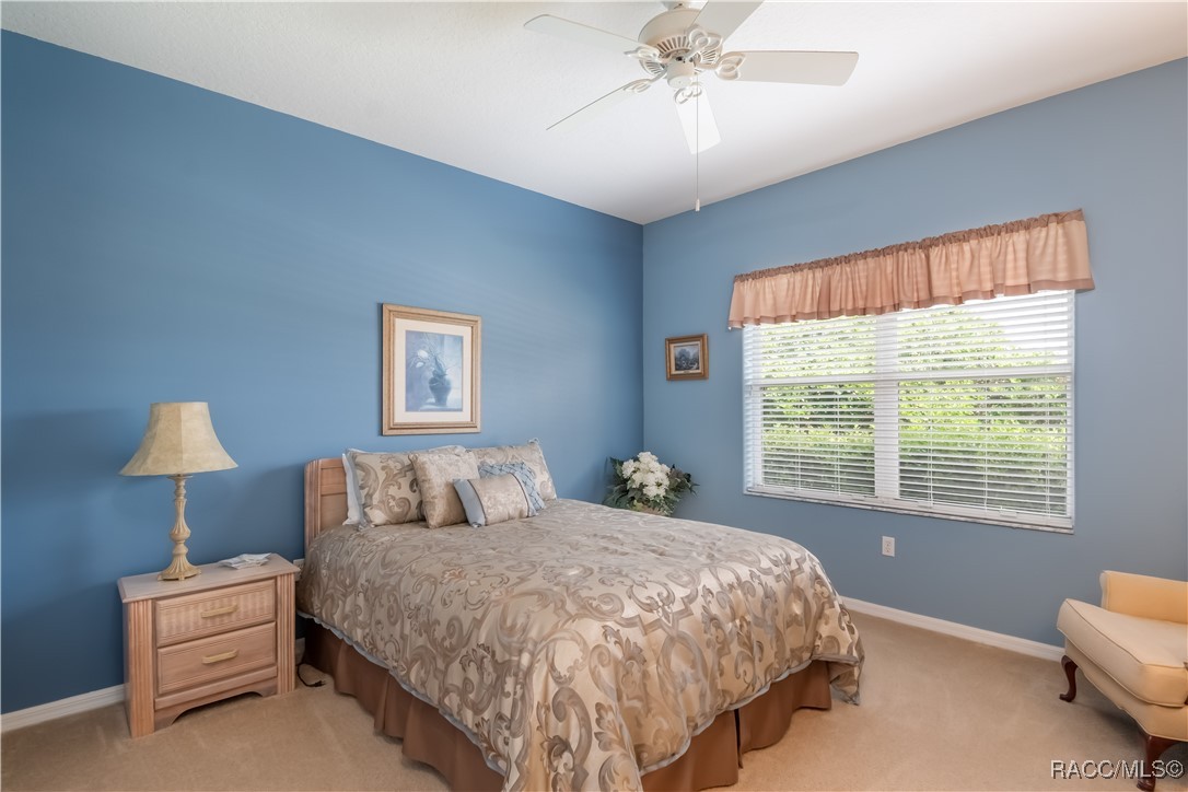 61 E Falconry Court, Hernando, New York image 30