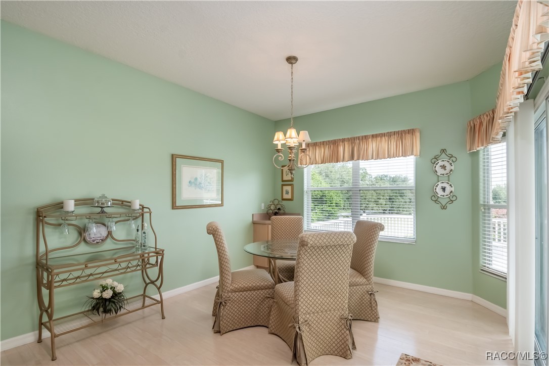 61 E Falconry Court, Hernando, New York image 19
