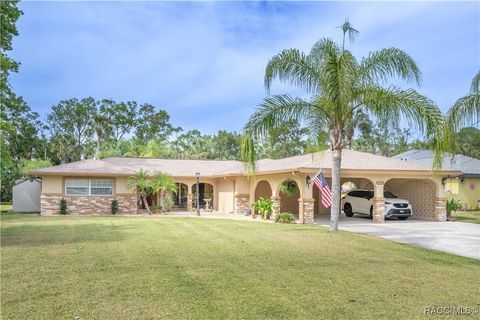10039 W Halls River Road Homosassa FL 34448