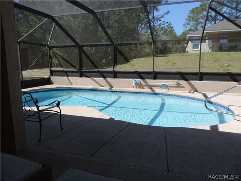 A home in Dunnellon