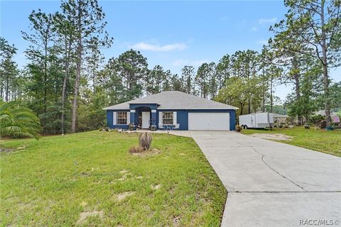 Homes For Sale - 1210 W Fan Drive<br/> Citrus Springs, FL 34434